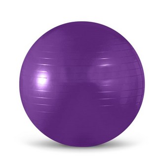 스타스포츠 짐볼 EB200, 파랑