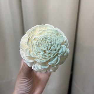 S-C 索拉花 6CM 通草花 擴香花 太陽玫瑰 太陽菊 台灣現貨, S63淺天藍