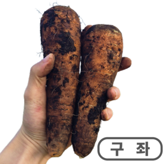 [환불보장] 제주 구좌 당근 2025 흙당근, 1박스, 10kg (왕사이즈)