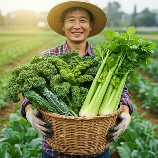 지우네농원 케일 녹즙재료 즙용 주스용 쌈케일 당일수확, 1개, 1kg