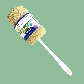 천연수세미, 1개, 1개