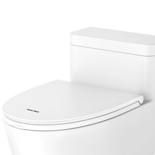 ROYAL TRADING 美標D型特大靜音緩降馬桶蓋 C628500Z-6DAKZZ10C, 單色, 1組