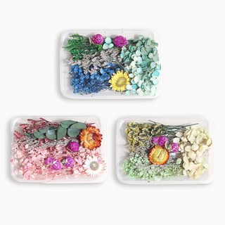 화연양화 프리저브드 드라이플라워 꽃모음 3개입 랜덤믹스