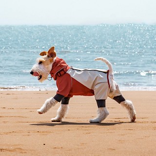 담다펫 강아지 전신우비 비옷 레인코트 캠핑옷 아웃도어, 1개, 레드