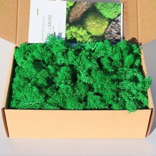 키득키득 공기정화식물 스텔라 모스이끼 포레스트 그린 200g