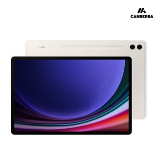 삼성 갤럭시탭 S9 플러스 SM-X810 A급, 베이지, 256GB, Wi-Fi