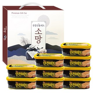 롯데 통조림 선물세트 런천미트 120g 9개, 9세트