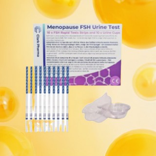 여성 갱년기 진단 검사 셀프 테스트 테스트기 자가 진단 키트 10개