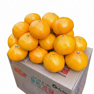 [선착순할인] 새콤달콤 제주 서귀포 제철 밀감 감귤, 1박스, [파격특가] 중, 대과 10kg L-2L
