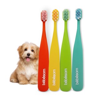 베베솜 칼라 미세모 강아지 칫솔 4개, 혼합, 1세트