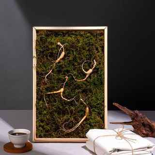 한양산삼 8년근 4뿌리 산삼 산양산삼, 1박스, 4g