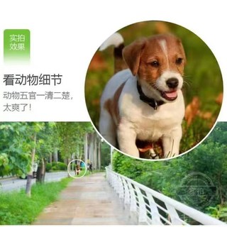 德國部隊 單筒望遠鏡 高倍超清 日夜兩用 微光夜視 手機拍照 倍鏡 送手機夾子, 低配標清500米