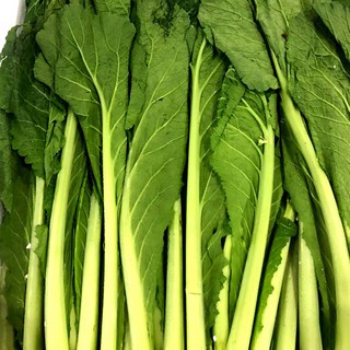 [김장용특품]새벽수확 전남 노지 생갓 돌산갓, 1개, 10kg