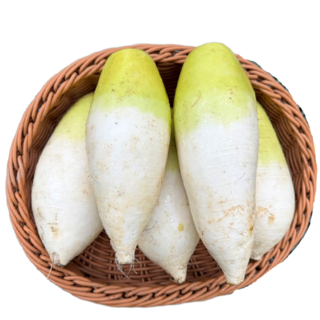 [한끼 채소] 국내산 월동무20kg 1개, 20kg