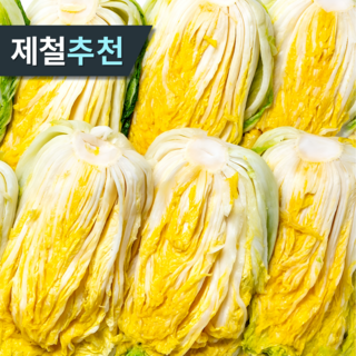 [100포기한정초특가] HACCP해풍맞은 해남직송 김장배추 절임배추, (12/11일이후도착)목요일 주문 월~화요일 도착, 1박스, 10kg
