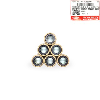 PGO原廠普利珠 Tig180 Tig170 滾珠 普利珠 16克, 1個