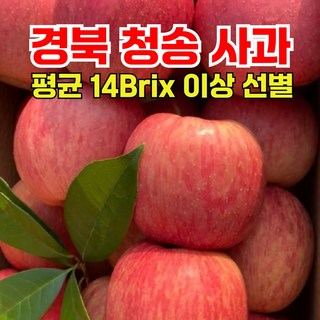 재판매요청 청송 사과 꿀사과 최대18Brix, 1박스, 10kg