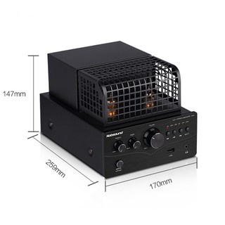 HIFI 2.1Ch 진공관 앰프 Bluetooth 5.0 광 동축 스테레오 앰프 고음 저음 조정 음악 애호가를위한 홈 오디, 1)AC 220V-230V