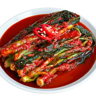 [재구매1위] 남도며느리 전라도 여수 돌산 갓김치 국내산, 5kg, 1개