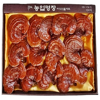 류충현 약용 편각 영지 버섯 머쉬룸 영양 생산 재배 건조 말린 좋은점 제품 섭취 방법 먹는법 물 긇이기 달이기 포자 담금주 만들기, 1개