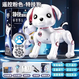 징공 지능형 로봇 강아지 어린이 퍼즐 계몽 장난감, 02 A battery