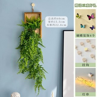 다꾸 인스타 인스타 스토리 몰래보기 다꾸스티커 공룡스티커 스티커북 인스타그램 미즈노인스파이, V. 유칼립투스 라탄 벽걸이 1개 후크 조명