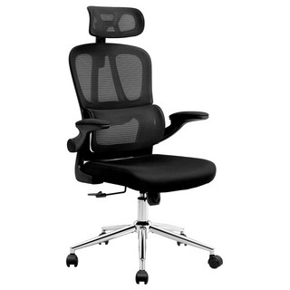 FlexiSpot 사무용의자 OC6 편안한 천연 스펀지 최대하중122KG 금속프레임 요추보호 컴퓨터의자, 블랙