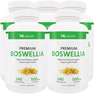 [미국번개배송] 착한명품 마이라이프 내추럴스 보스웰리아 500mg 240정 5병, 5개