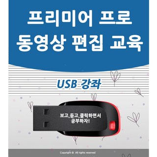 어도비 프리미어 프로 cc 강좌 USB 책 교재 보다 좋은 교육 유튜브 동영상 만들기 편집 강의