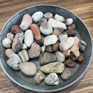 【欣榮園藝】紅木化石 20kg 鋪面石 園藝 陽台 庭院舖石 水族 造景 裝飾, 1個, 7分(約3~5cm)，20kg