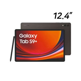 삼성전자 갤럭시탭 S9 플러스 교육기관 렌탈 회수제품 리퍼, Wi-Fi, 256GB, 그라파이트