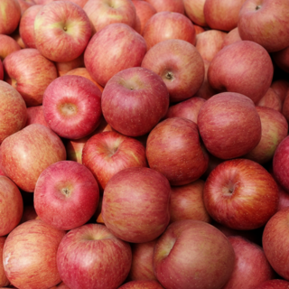 산지직송 맛있는 고당도 빨간 홍로사과, 1박스, 중과 2kg (10-11과 내외)