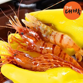 자연산 활 독도새우 꽃새우 닭새우, 활 꽃새우, 1개, 500g