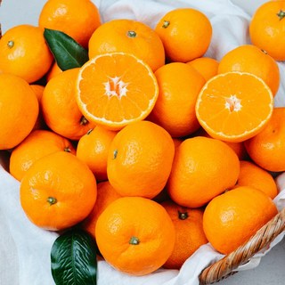 제주 서귀포 고당도 제철 감귤, 1박스, 5kg 로얄과(S/M)