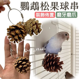 鸚鵡松果球串 松果啃咬串 乾燥果實 倉鼠啃咬 松果 乾燥花 天然素材 裝飾品 聖誕節 虎皮 牡丹 文鳥 兔子, 1個, 吊掛1入款