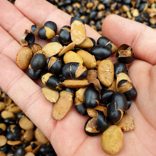 구수한 사람들 속까지튀긴 볶은 검은콩 뻥튀기 서리태퐁, 1개, 200g