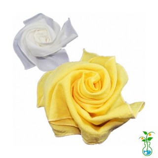 과학실험키트-NEW 천연염색 치자물들이기 노랑손수건-10인용, 1