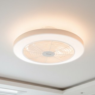 신일 BLDC 2in1 LED 실링팬 천장선풍기 서큘라이트, 신일 2in1 서큘라이트