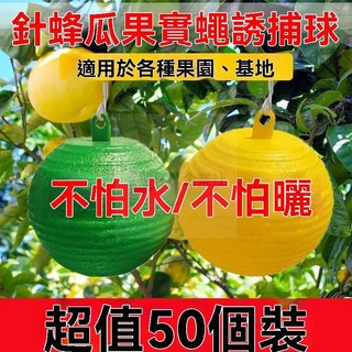 誘蠅球果實黏蟲板套裝：強力柑橘實蠅誘捕，果園果樹專用，高效黏除小黑飛, 1個, 8.2釐米加大橘黃色/進口誘捕劑+強粘力,】誘蠅球批髮2個送掛繩【