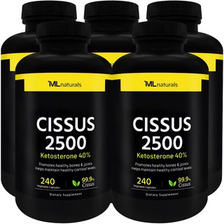 [미국번개배송] 마이라이프 내추럴스 시서스 2500 케토스테론 40% 240정 5병, 5개