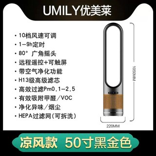 가정용 냉온풍기 이동식 겸용 냉난방기, 13  싱글 콜드 50인치 그레이 골드 공기청정 매장, 50인치 그레이골드