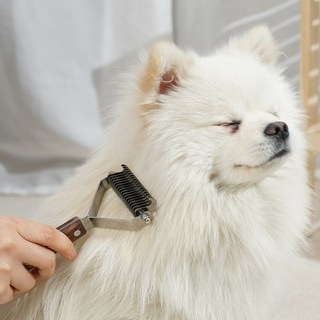 냥글댕글 몽몽 듀얼 브러쉬 반려동물 털 관리 제거, 몽몽듀얼브러쉬+참숯패드10매증정, 1개