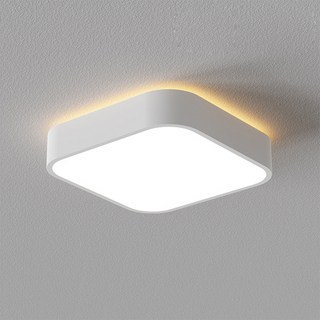 케이시 LED 네온 현관 직부 조명 천장등 15W, 1개