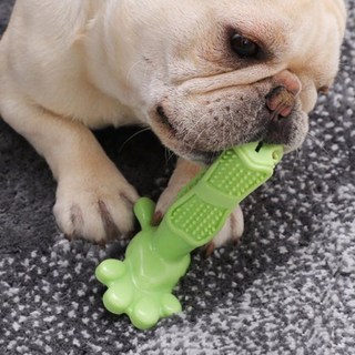 에이치몰 강아지 셀프칫솔 장난감 대형, 1개