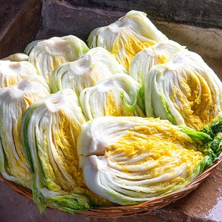 함박꽃상회 햇 절임배추, 1개, 20kg