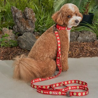 베일리펫 강아지 산책 소형견 중형견 데이지 워키 리드줄, 1개, 레드