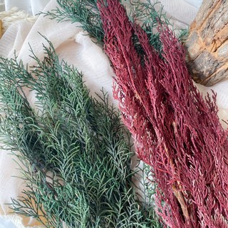 聖誕花圈 永生扁柏 雪松 松柏 諾貝松 藍松 楠柏 交換禮物 橡果 松果 毬果, 紅色, 1個