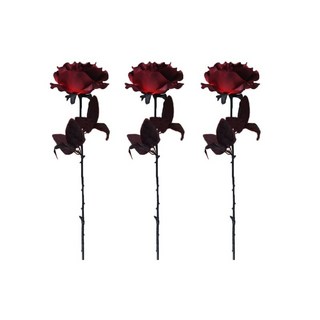 台灣出貨 黑色系玫瑰 尤加利葉 枯萎仿真玫瑰花 假花 攝影寫真道具 室內裝飾花 旅拍 極簡風, 紅色玫瑰3支, 1個