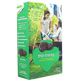 걸스카우트 씬 민트 쿠키 (2박스) Girl Scout Thin Mints Cookies (2 Boxes), 1개, 589.67g