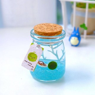 室內盆栽 海藻球生態瓶 綠球藻迷你盆栽 夜光療癒懶人植物微景觀水培小禮物, 天藍100ml瓶1歲1顆